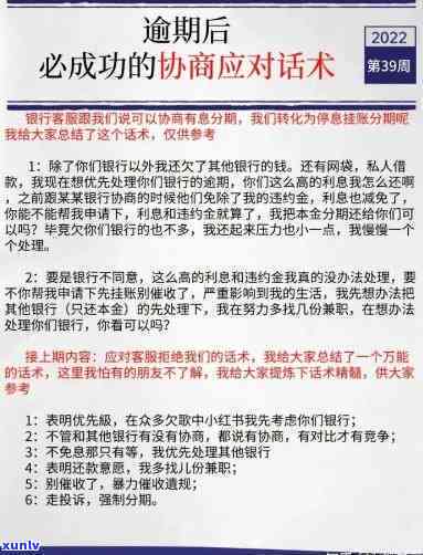 网贷逾期协商还款技巧和术语，掌握网贷逾期协商还款技巧与术语，避免不良信用记录