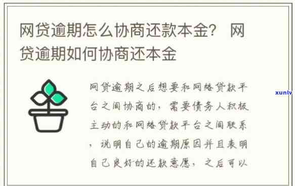 皇岛一品堂普洱茶