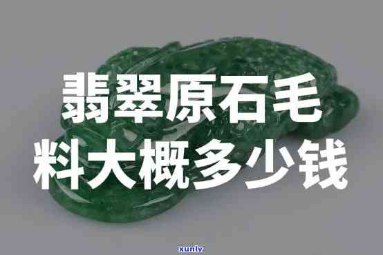 嫩种翡翠毛料-嫩种翡翠毛料值钱吗