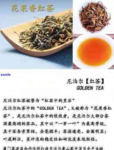 花果香红茶什么牌子好，寻找美味的花果香红茶？看看这些热门！