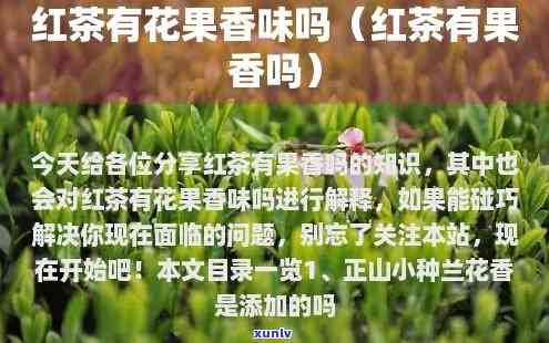 红茶有花果香味吗，探究红茶的香气特征：是否带有花果香？