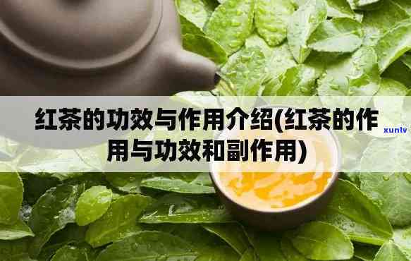 全面解析：红茶奶的好处、功效及禁忌