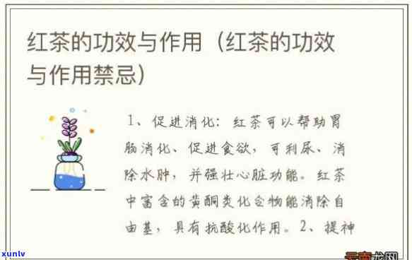 全面解析：红茶奶的好处、功效及禁忌