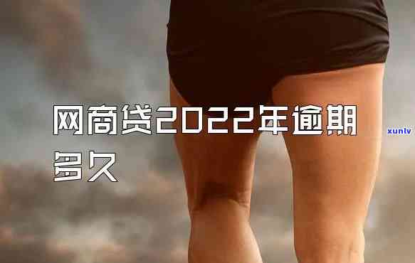 翡翠的颜色种类及其特点：阳绿翡翠为何独具魅力？