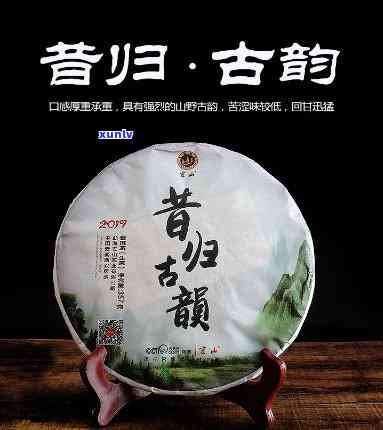 昔归古树茶香气，探寻昔日古韵：品鉴昔归古树茶的香气