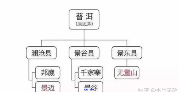 普洱茶竹子：哪个山头？16年、19年的对比解析