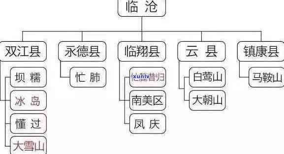 普洱茶竹子：哪个山头？16年、19年的对比解析