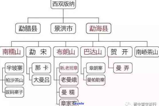 普洱茶竹子：哪个山头？16年、19年的对比解析