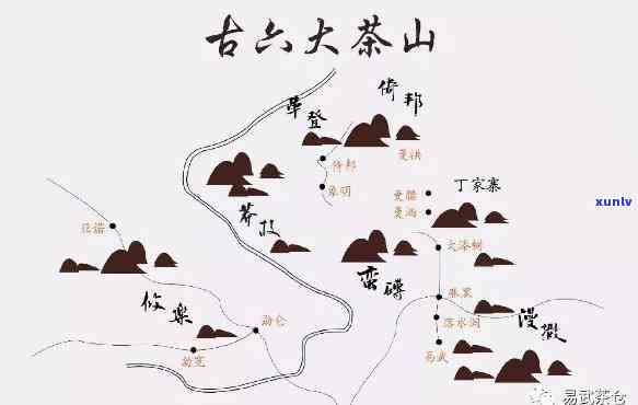 大益有自己的茶山吗，探究大益茶叶的产地：他们是否有自己的茶山？