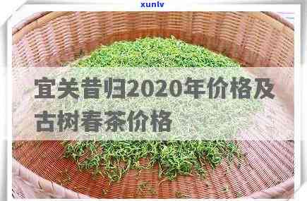 昔归古树茶2020年价格及宜关信息，最新2021年价格走势