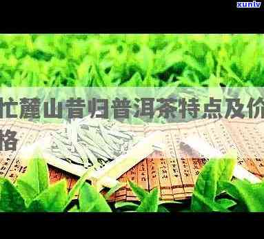 忙麓山普洱茶：价格、特点全解析