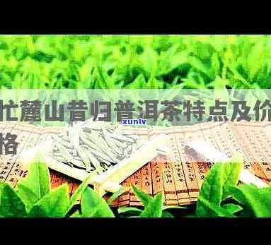 忙麓山茶价格，揭秘忙麓山茶价格：为何它被誉为“中国十大名茶”之一？