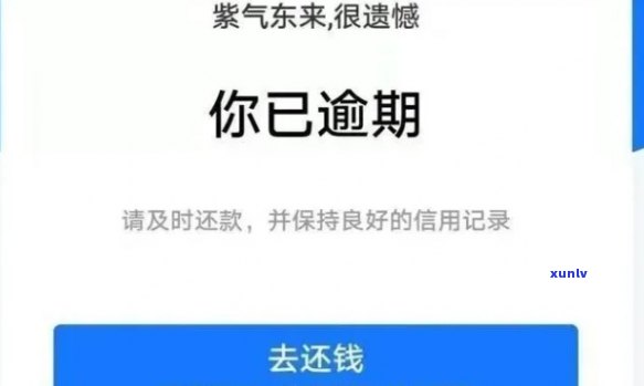 花呗借呗逾期60天怎么办，怎样解决花呗、借呗逾期60天的疑问？