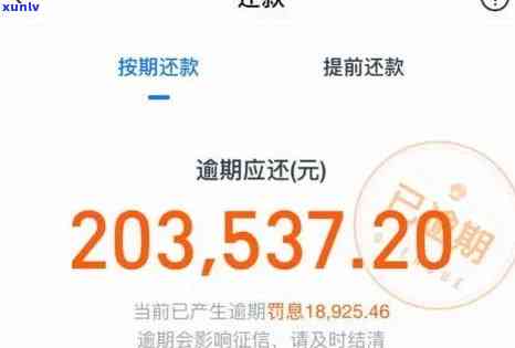 花呗借呗逾期200多天,还进去以后还能用吗，花呗、借呗逾期200多天，还款后能否继续使用？