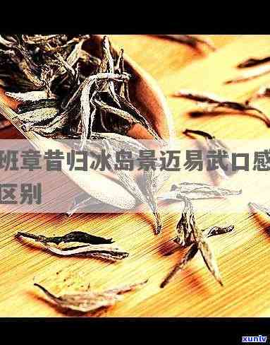 冰岛,昔归,班章,易武的口感区别，探秘四种名茶：冰岛、昔归、班章和易武的独特口感区别