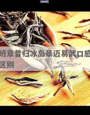 昔归冰岛：探索老班章与景迈的魅力