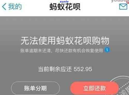 花呗借呗逾期多少天会起诉？已还款2000 ，后续解决方案