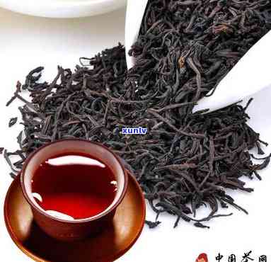 红茶鼻祖是哪种红茶品种？详解其起源与特点