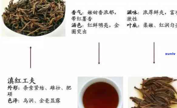 红茶鼻祖的品评等级标准及其代表品种与人物