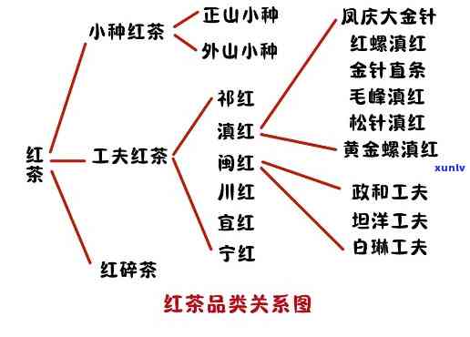 红茶鼻祖的品评等级标准及其代表品种与人物