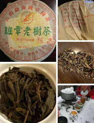 老班章：如何辨别茶叶优劣？