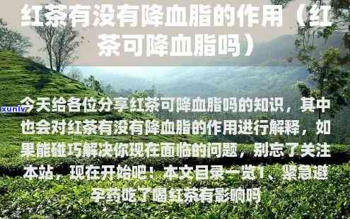 喝红茶对降低胆固醇有用吗，探究红茶的降脂功效：喝红茶能有效降低胆固醇吗？