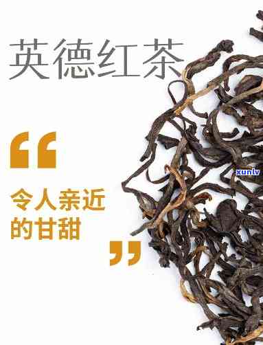 英德红茶需不需要洗茶？怎样洗喝？