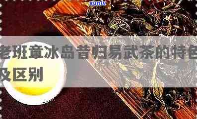 冰岛昔归班章易武：口感区别全解析