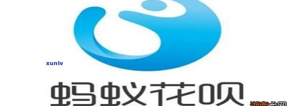 大益普洱茶加盟条件及相关费用：全面解析投资要求与预期回报