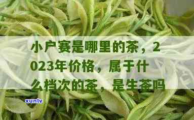 小户赛属于什么茶，揭秘茶叶品种：小户赛属于哪种茶？