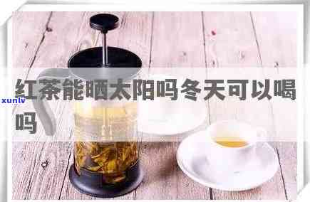 红茶可以晒吗太阳吗冬天，冬天能否将红茶放在阳光下晒干？