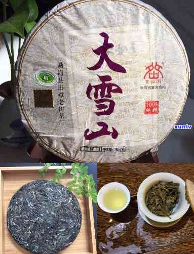 大雪山茶介绍：口感特点解析