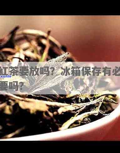 红茶需不需要放冰箱里？详解存 *** 与适宜度