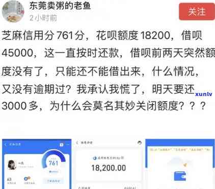 借呗逾期好几天了不存在收到催债  ，借呗逾期数日未接获  ，有何可能起因？