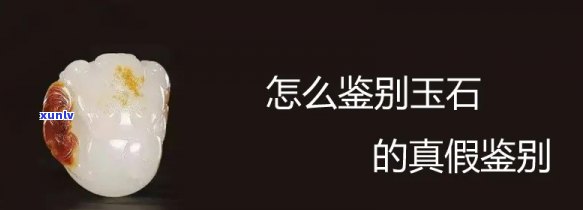 深圳网贷逾期新闻最新消息：今日视频汇总