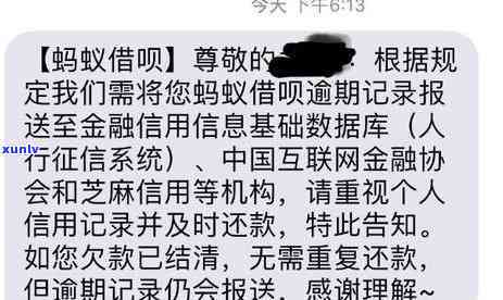 交通逾期后必须全额还款吗？原因、处理办法解析