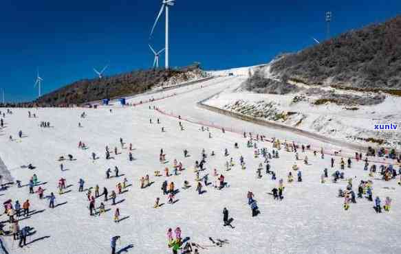 宜宾大雪山茶山乐园在哪里，寻找宜宾大雪山茶山乐园：位置与导航指南