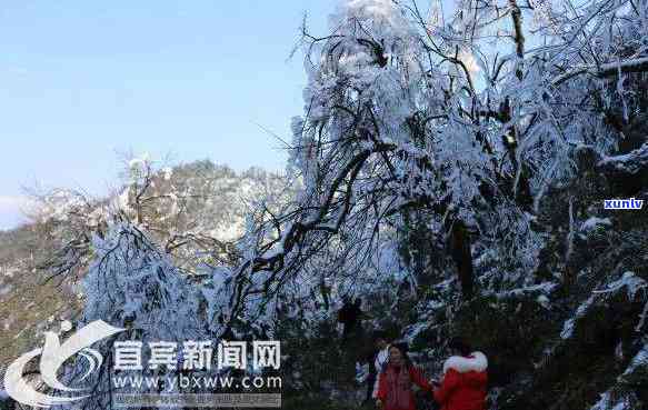 大雪山到宜宾班车，从大雪山到宜宾：乘坐班车的旅行指南