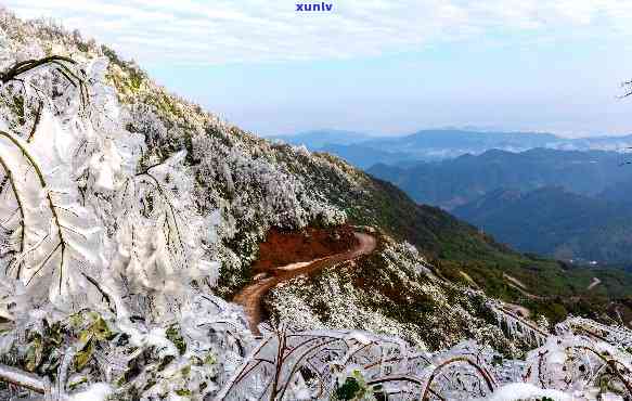 宜宾大雪山茶山乐园-宜宾大雪山茶山乐园 *** 