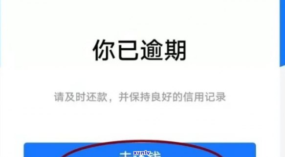 借呗逾期一天2021，警惕！借呗逾期一天的后果在2021年可能会更加严重