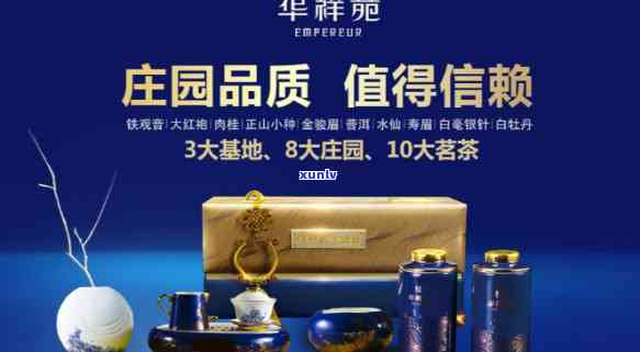 普洱茶价格：贡福茗普洱茶一斤多少钱？如何选购和品鉴？