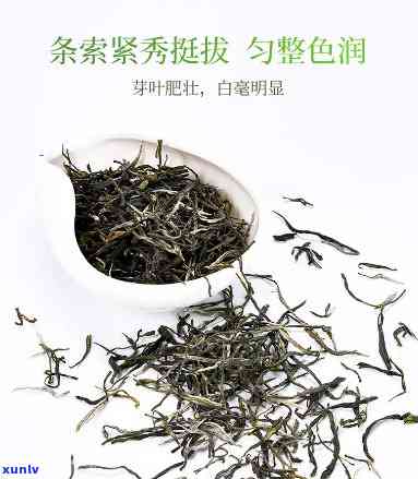 婺源丫玉：有名的茶叶品种，了解其特性和历史背景