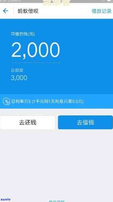 宝和祥金条普洱茶叶市场价格参考指南