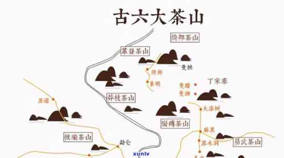 云南大雪山属于哪个茶区，探寻茶源：揭秘云南大雪山属于哪个茶区