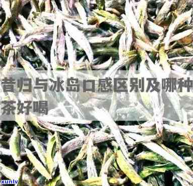 易武普洱茶2017年价格全解析：生茶和熟茶最新报价