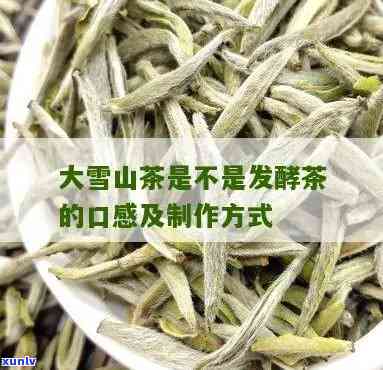 大雪山茶条手工 *** 教程：视频与图片全攻略