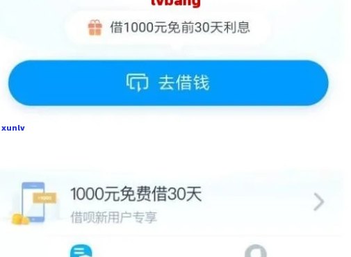 翡翠麒麟的生长环境解析：温度、湿度、光照等关键因素探讨