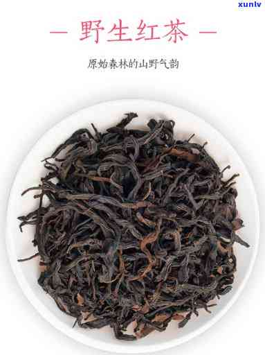 生态红茶野茶多少钱一盒，探寻野生生态红茶的市场价格：一盒多少钱？