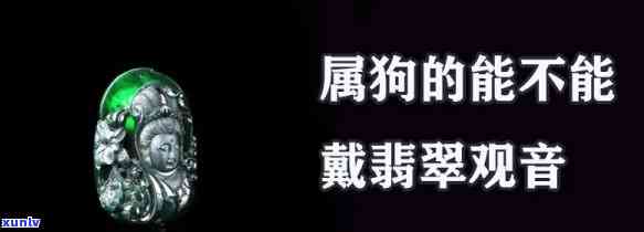 冰绿翡翠的价值，探究冰绿翡翠的珍稀价值：一种独特而美丽的宝石