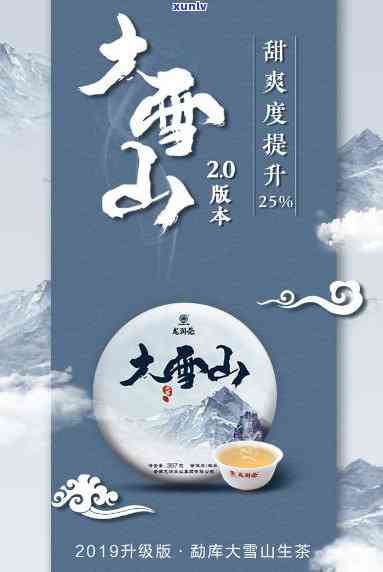 大雪山茶叶的大户赛-大雪山 茶叶